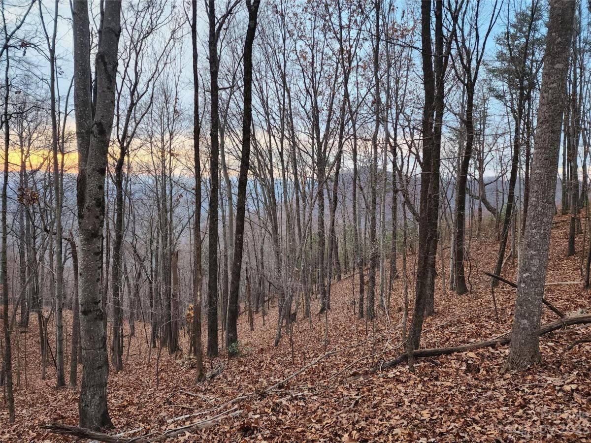 MLS #CAR4096479 image #3