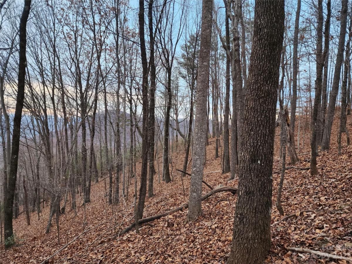 MLS #CAR4096479 image #4