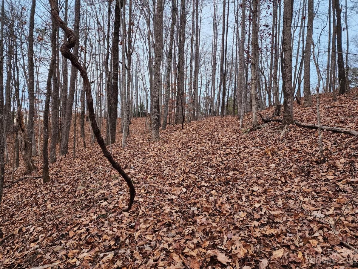 MLS #CAR4096479 image #7