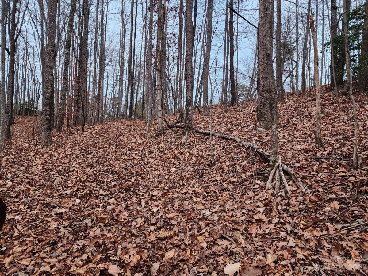 MLS #CAR4096479 image #8