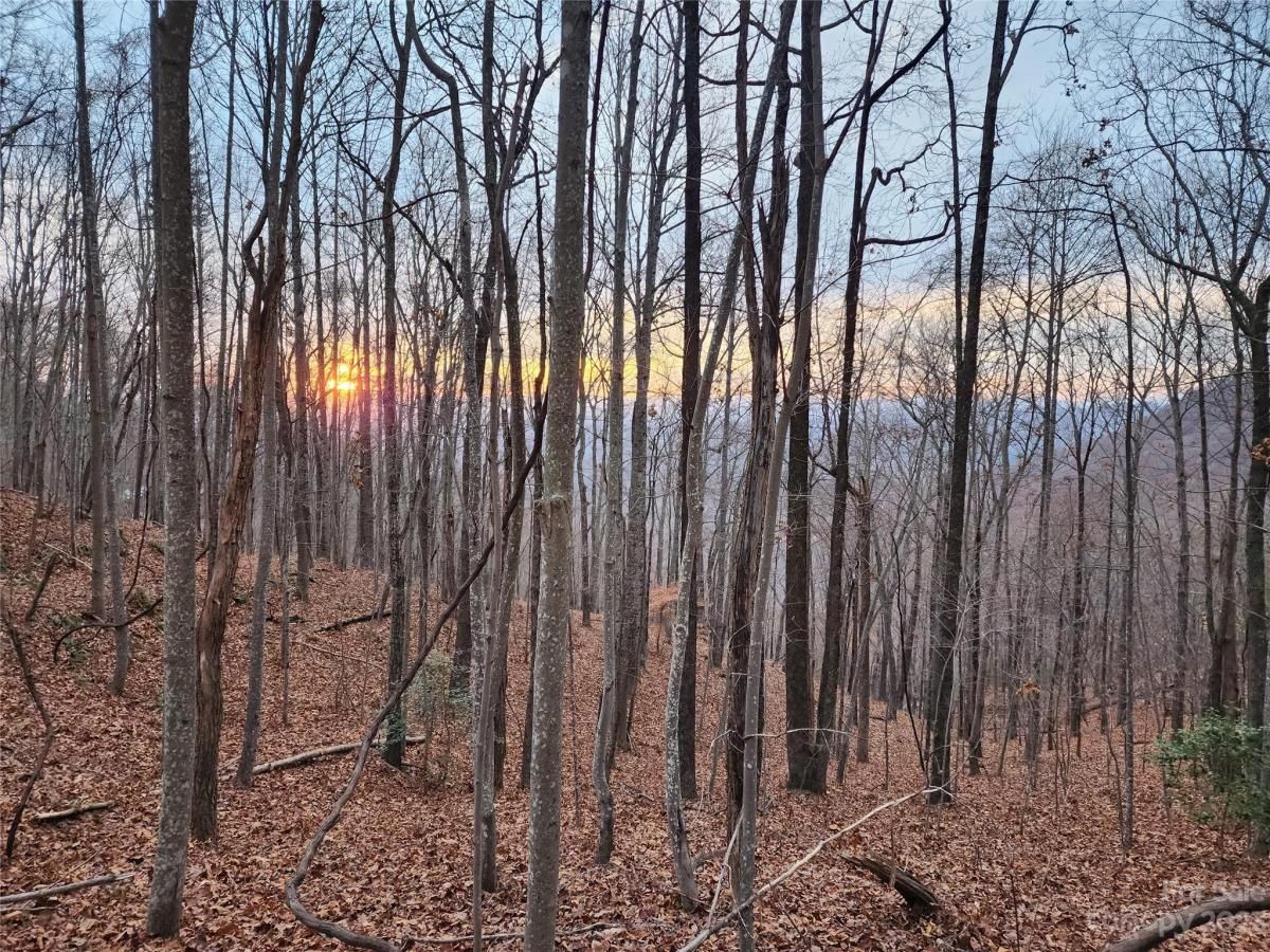 MLS #CAR4096479 image #9