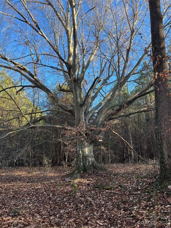 MLS #CAR4096567 image #28