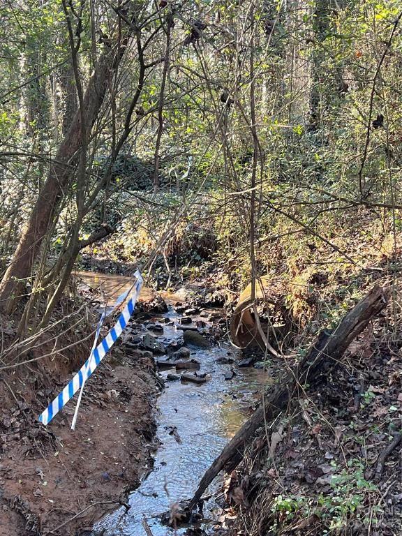 MLS #CAR4096567 image #29