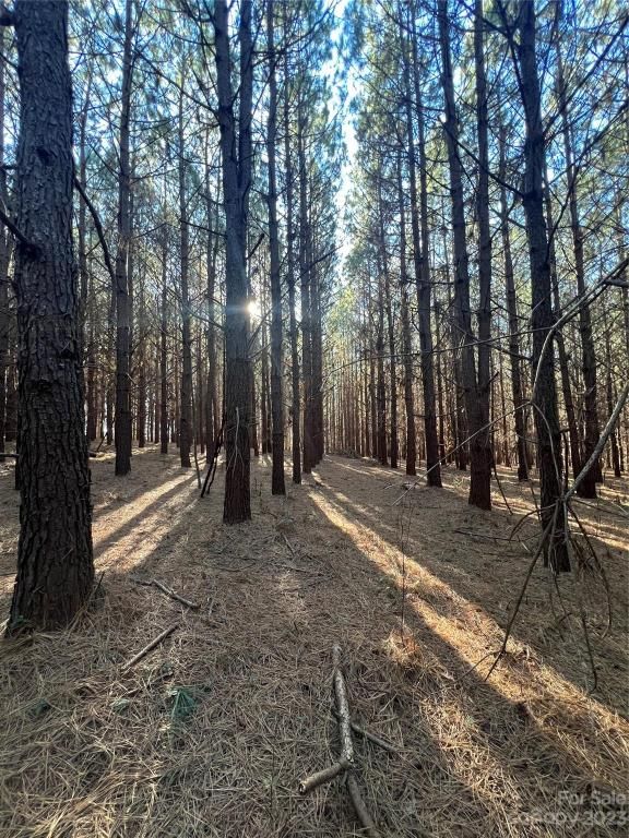 MLS #CAR4096567 image #30