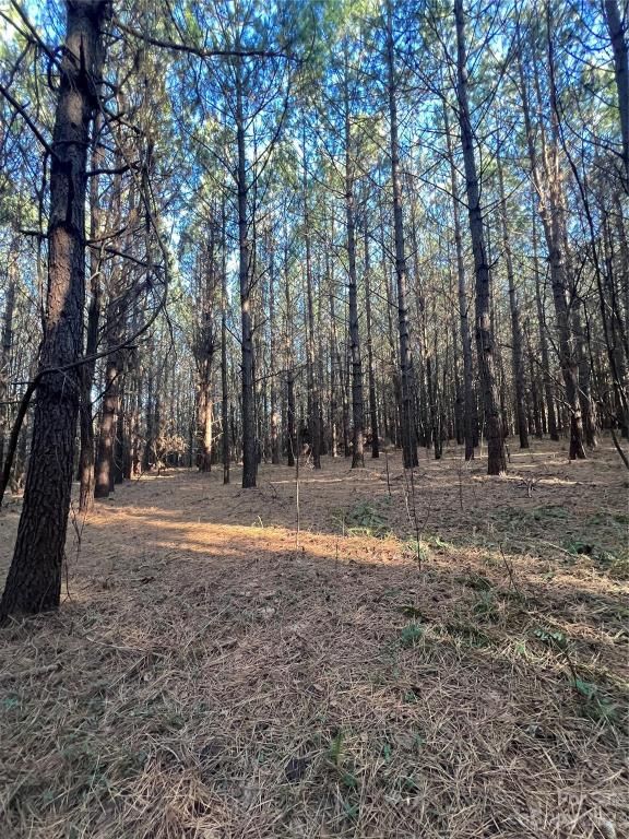 MLS #CAR4096567 image #31