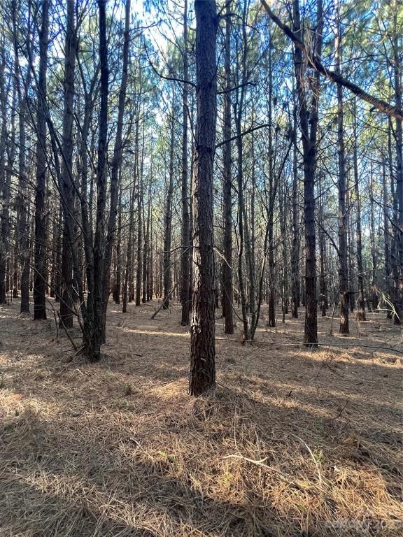 MLS #CAR4096567 image #32