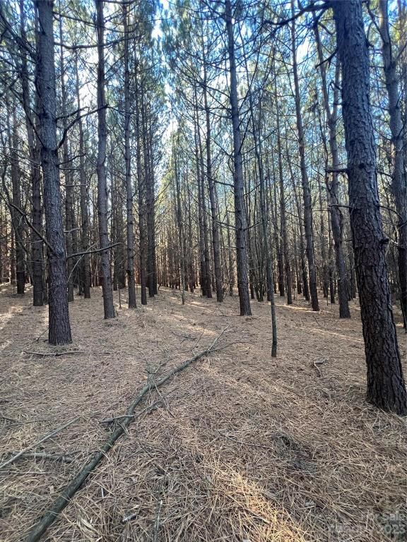 MLS #CAR4096567 image #33