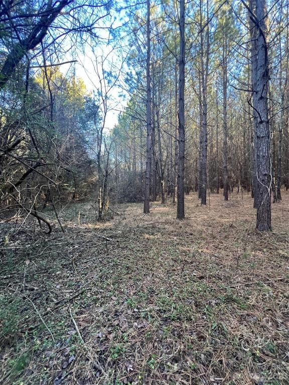 MLS #CAR4096567 image #34