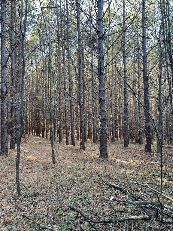 MLS #CAR4096567 image #35