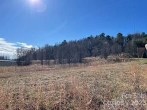 MLS #CAR4096734 image #3