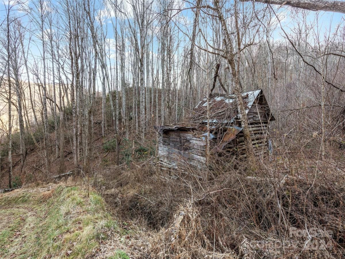 MLS #CAR4098322 image #0