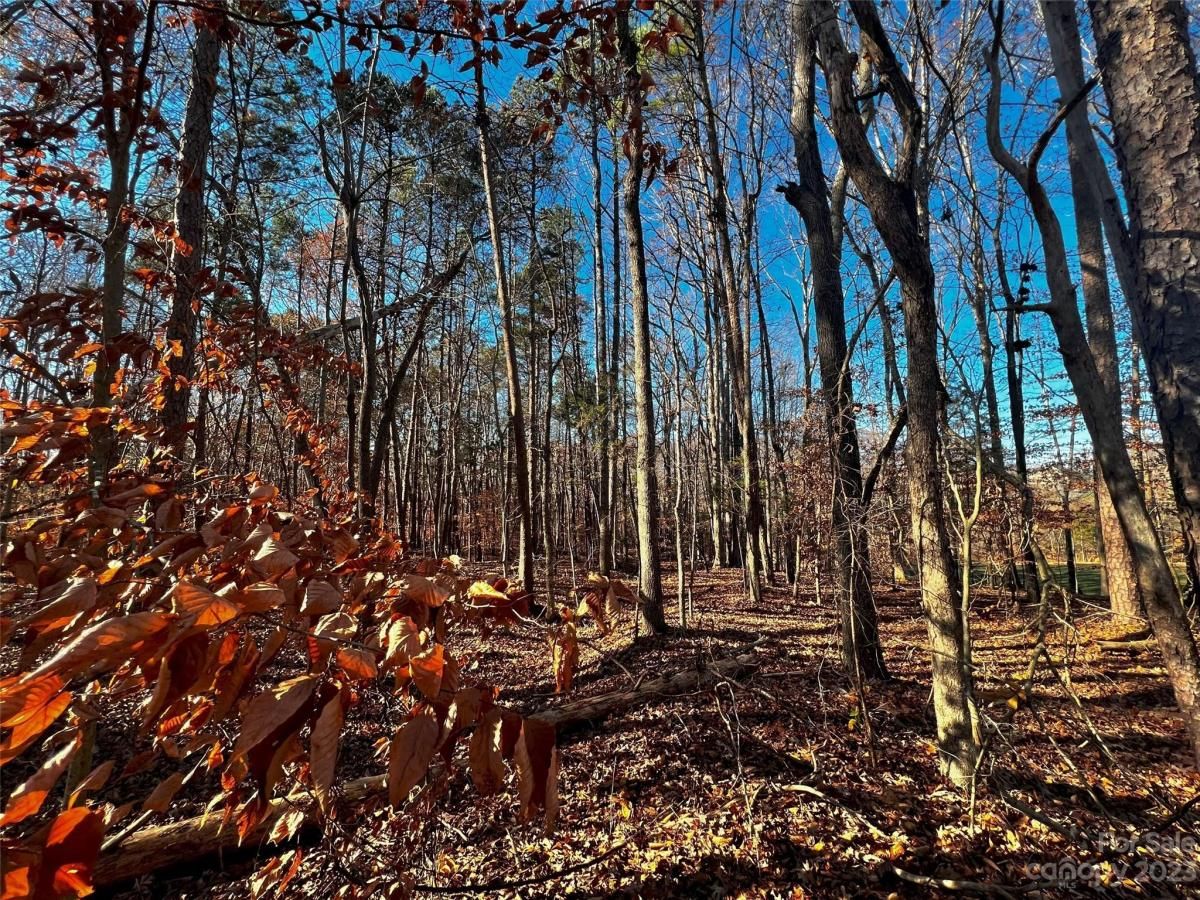 MLS #CAR4100338 image #2