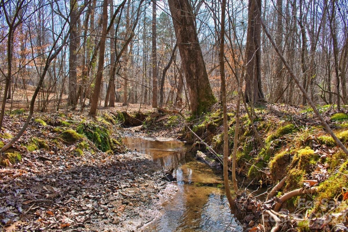 MLS #CAR4100506 image #1