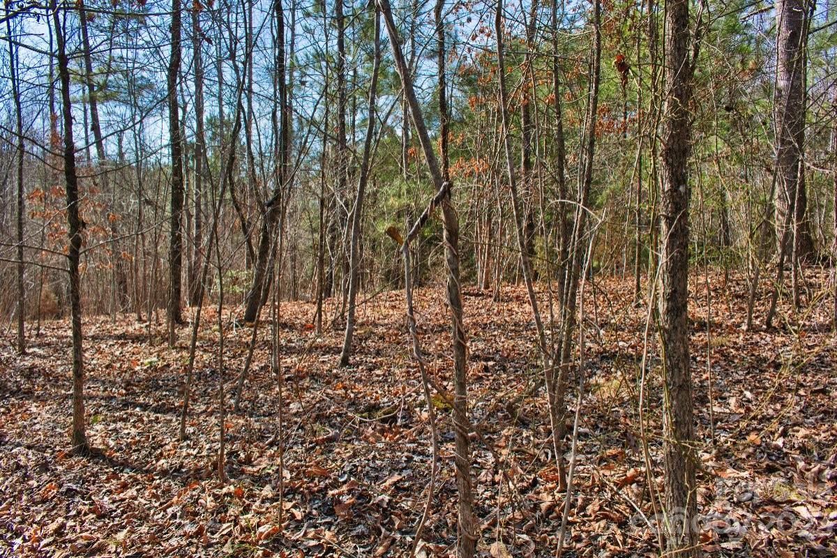 MLS #CAR4100506 image #2