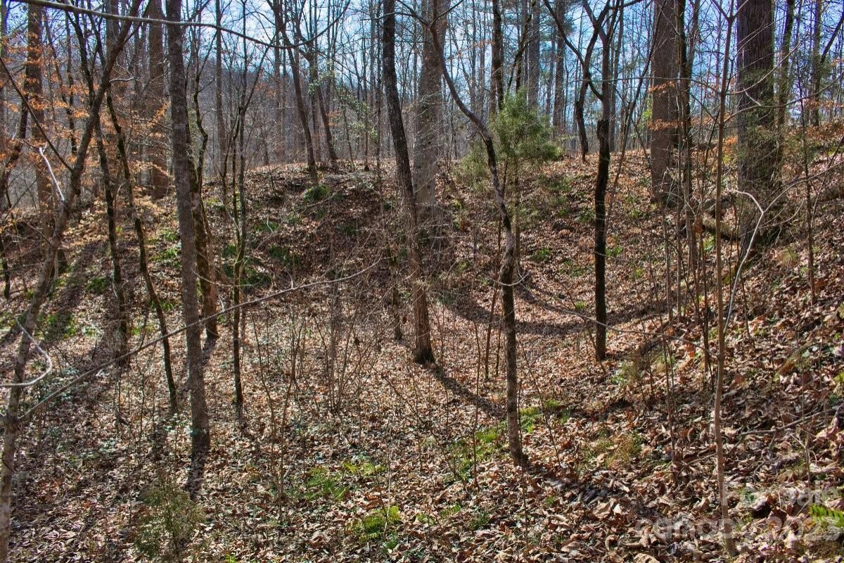 MLS #CAR4100506 image #3