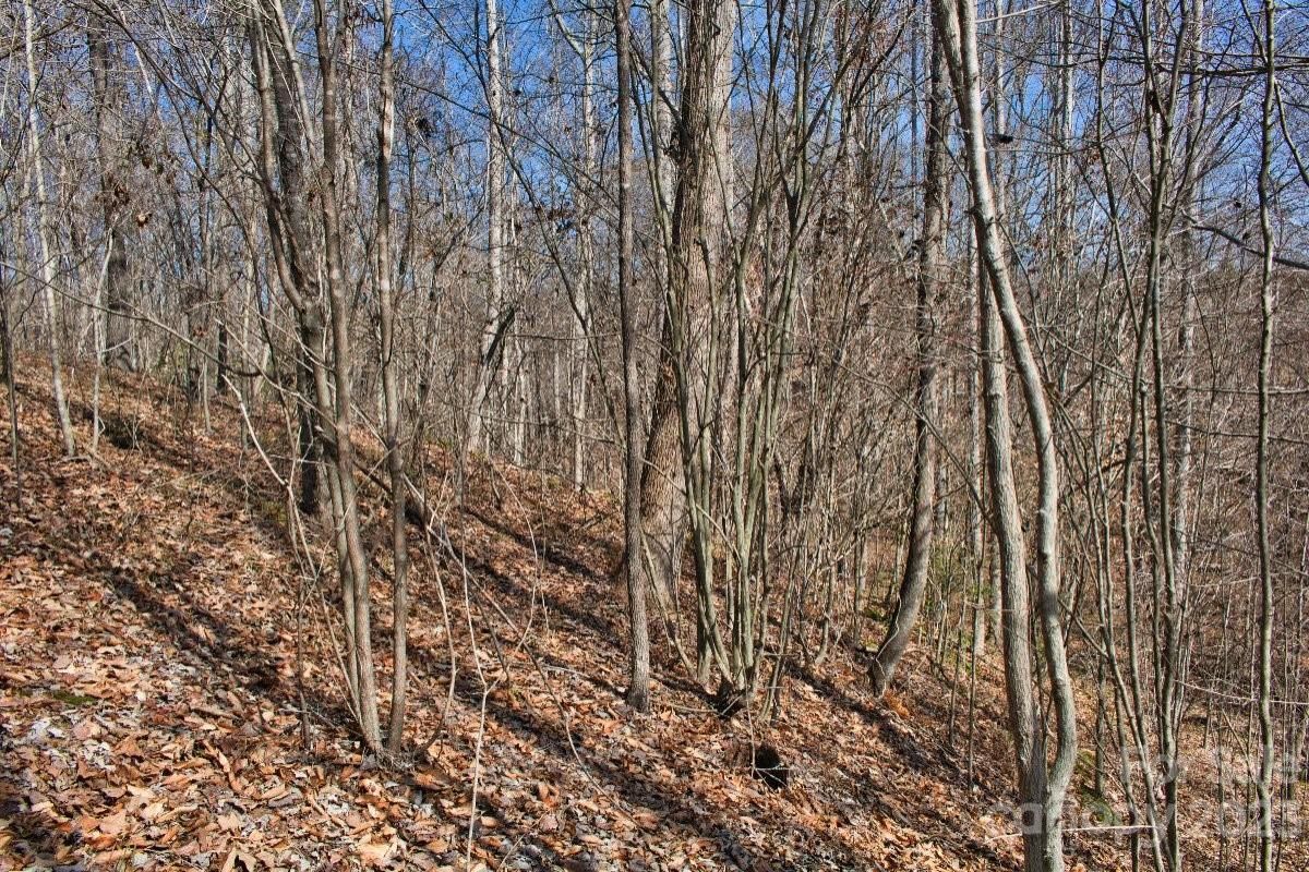 MLS #CAR4100506 image #4