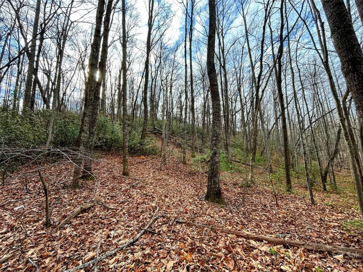 MLS #CAR4100654 image #5