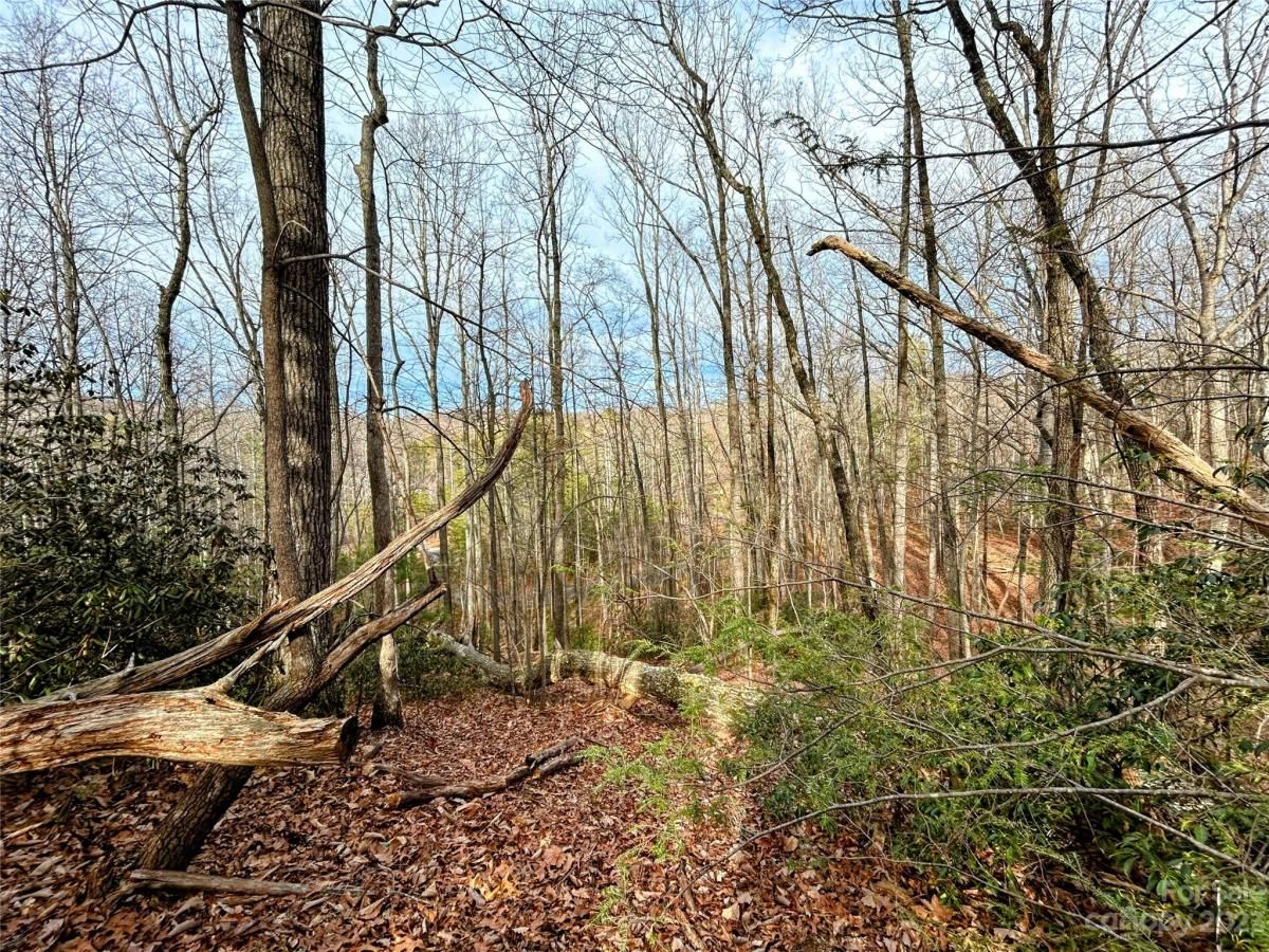 MLS #CAR4100654 image #6