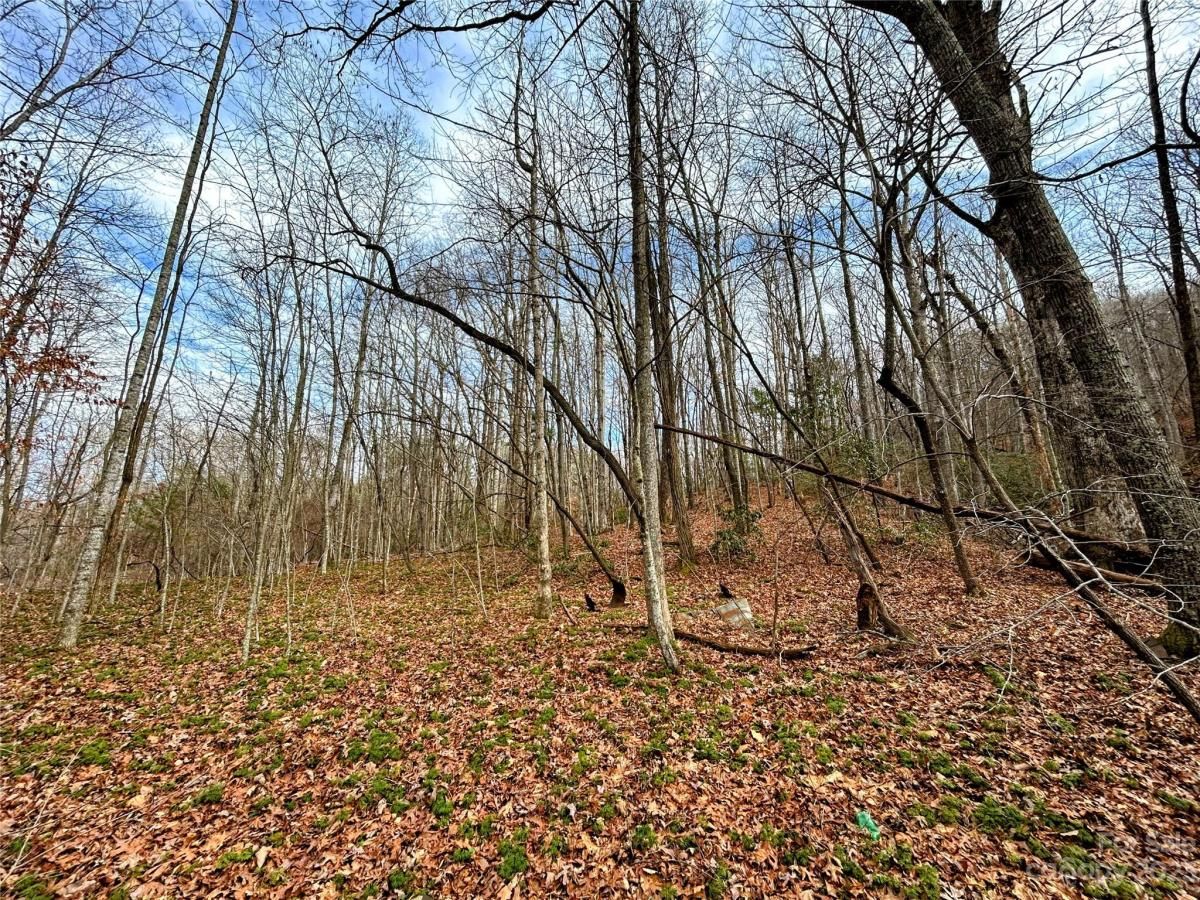 MLS #CAR4100656 image #1