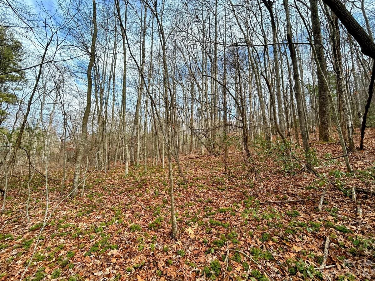 MLS #CAR4100656 image #2