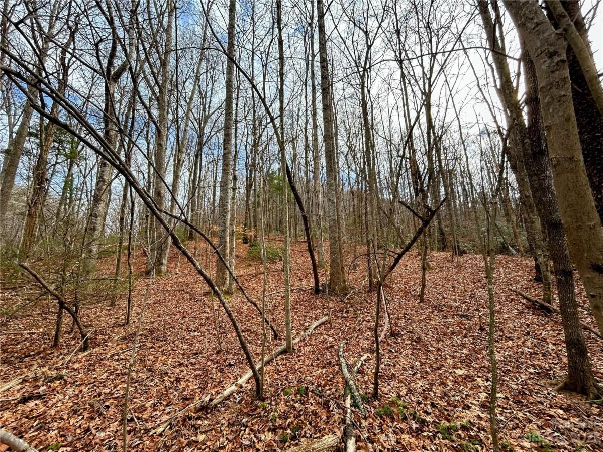 MLS #CAR4100656 image #4