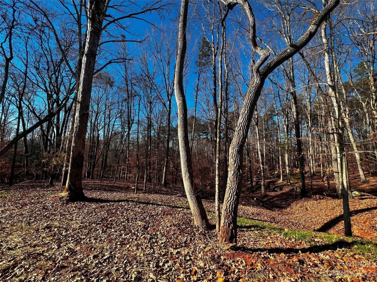 MLS #CAR4100788 image #1