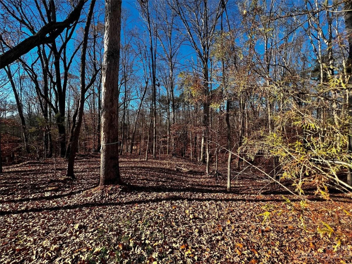 MLS #CAR4100788 image #2