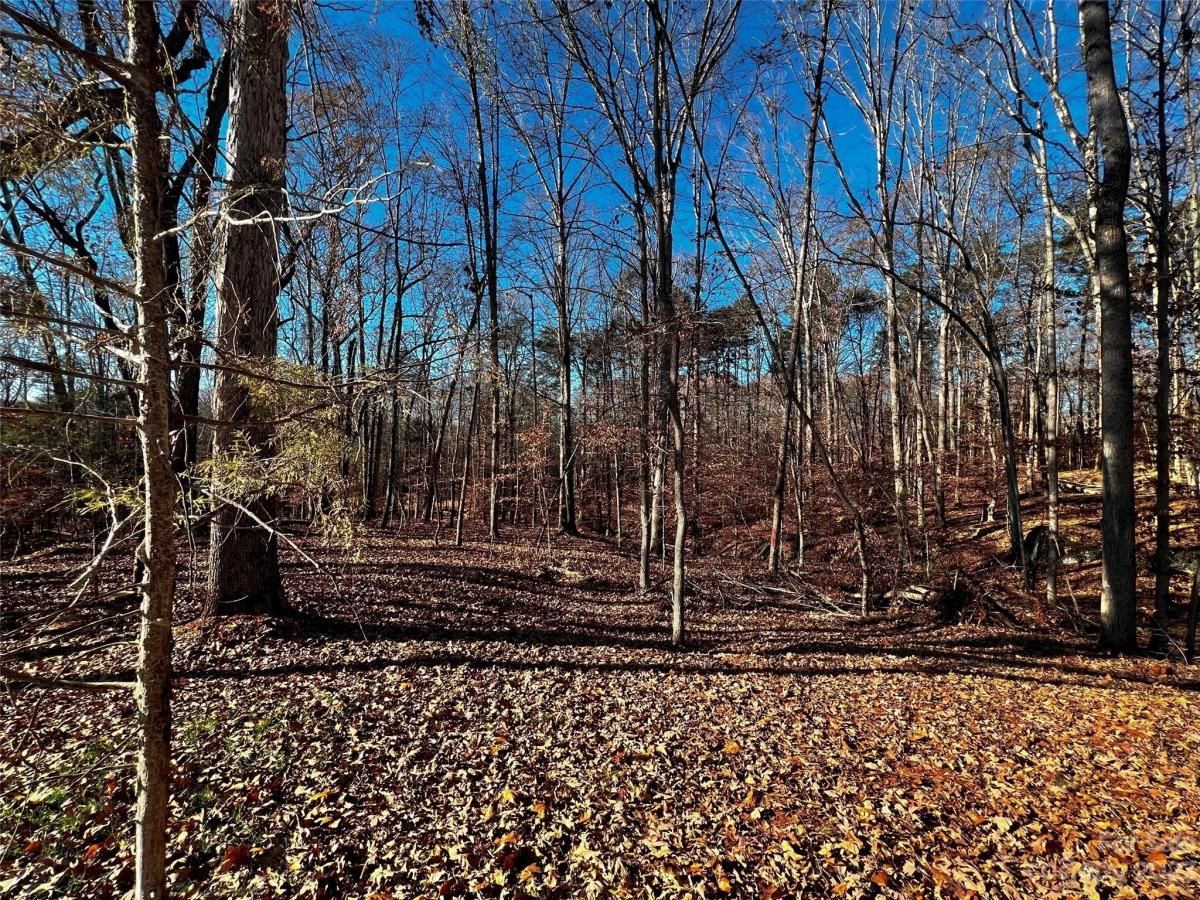 MLS #CAR4100788 image #3