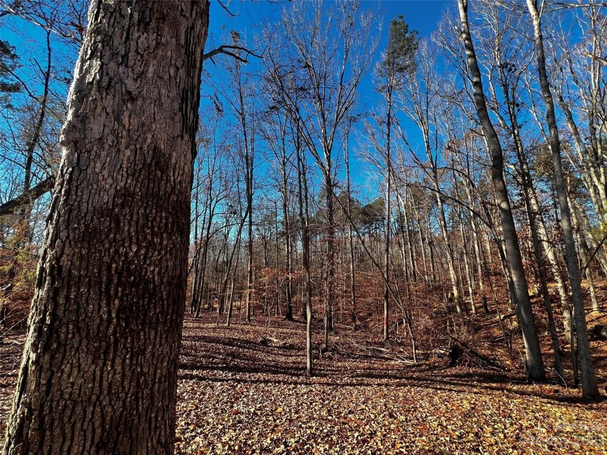 MLS #CAR4100788 image #4