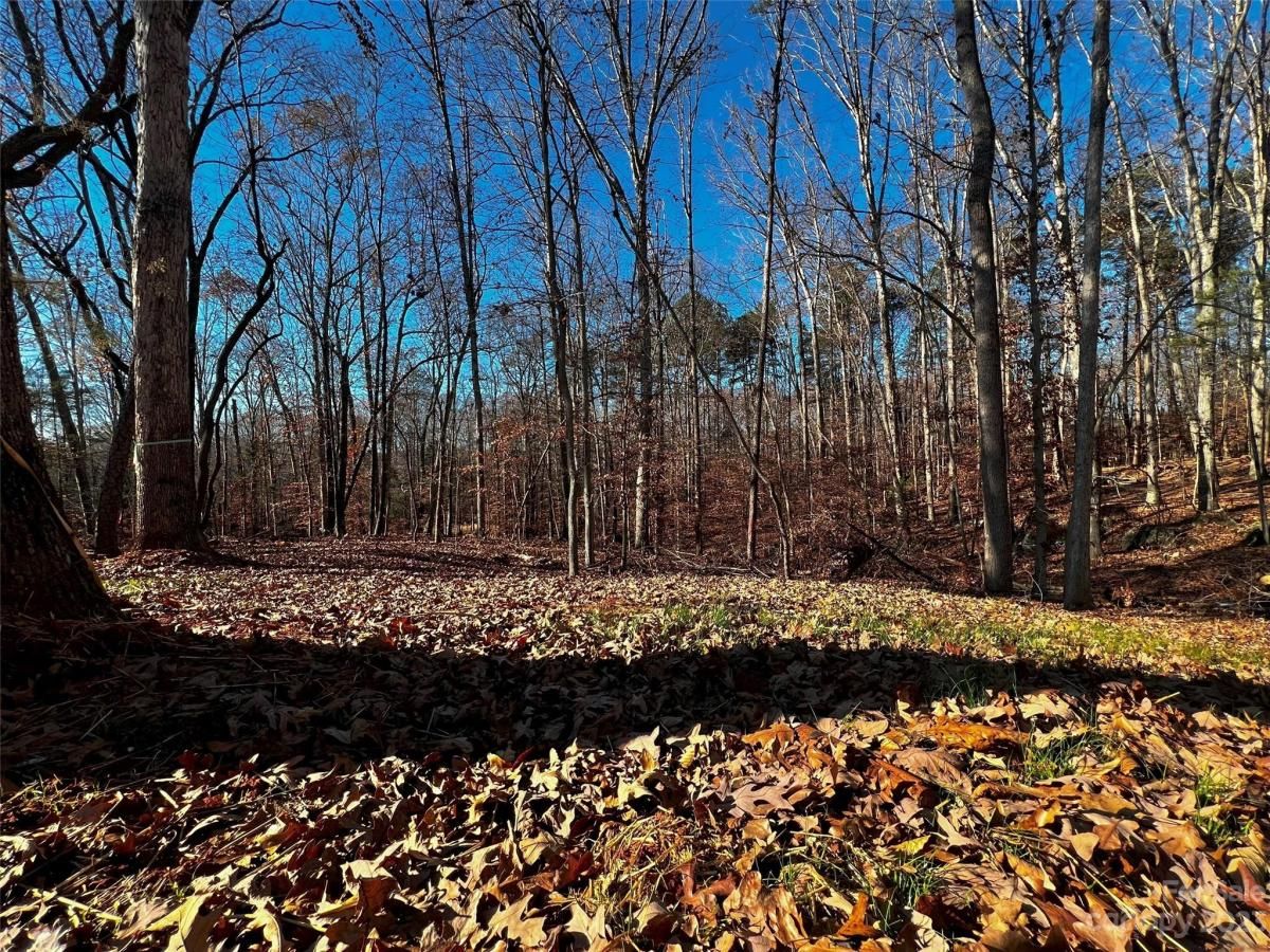 MLS #CAR4100788 image #5