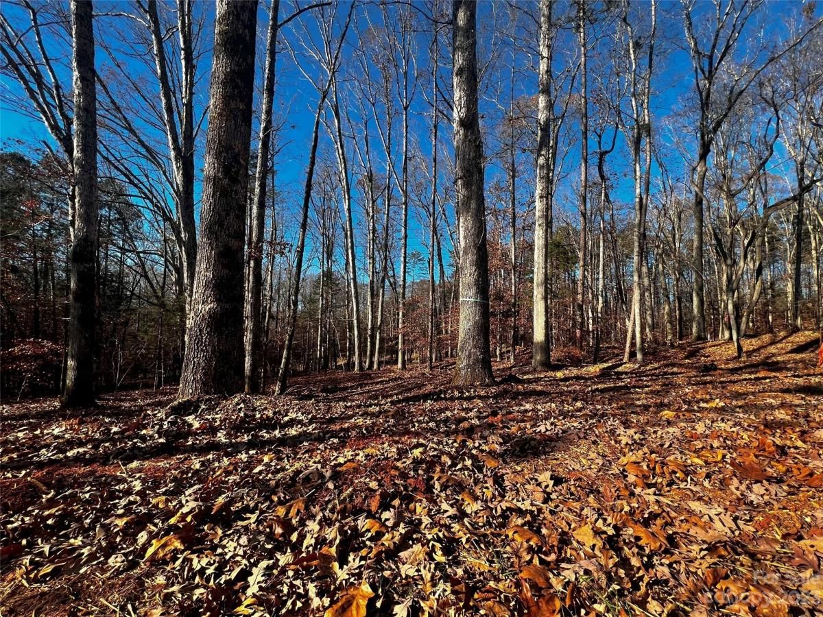 MLS #CAR4100811 image #1