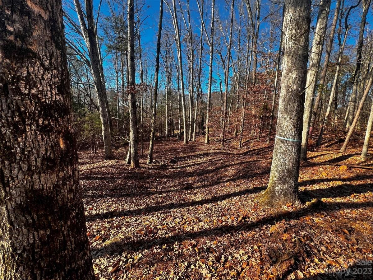 MLS #CAR4100811 image #2