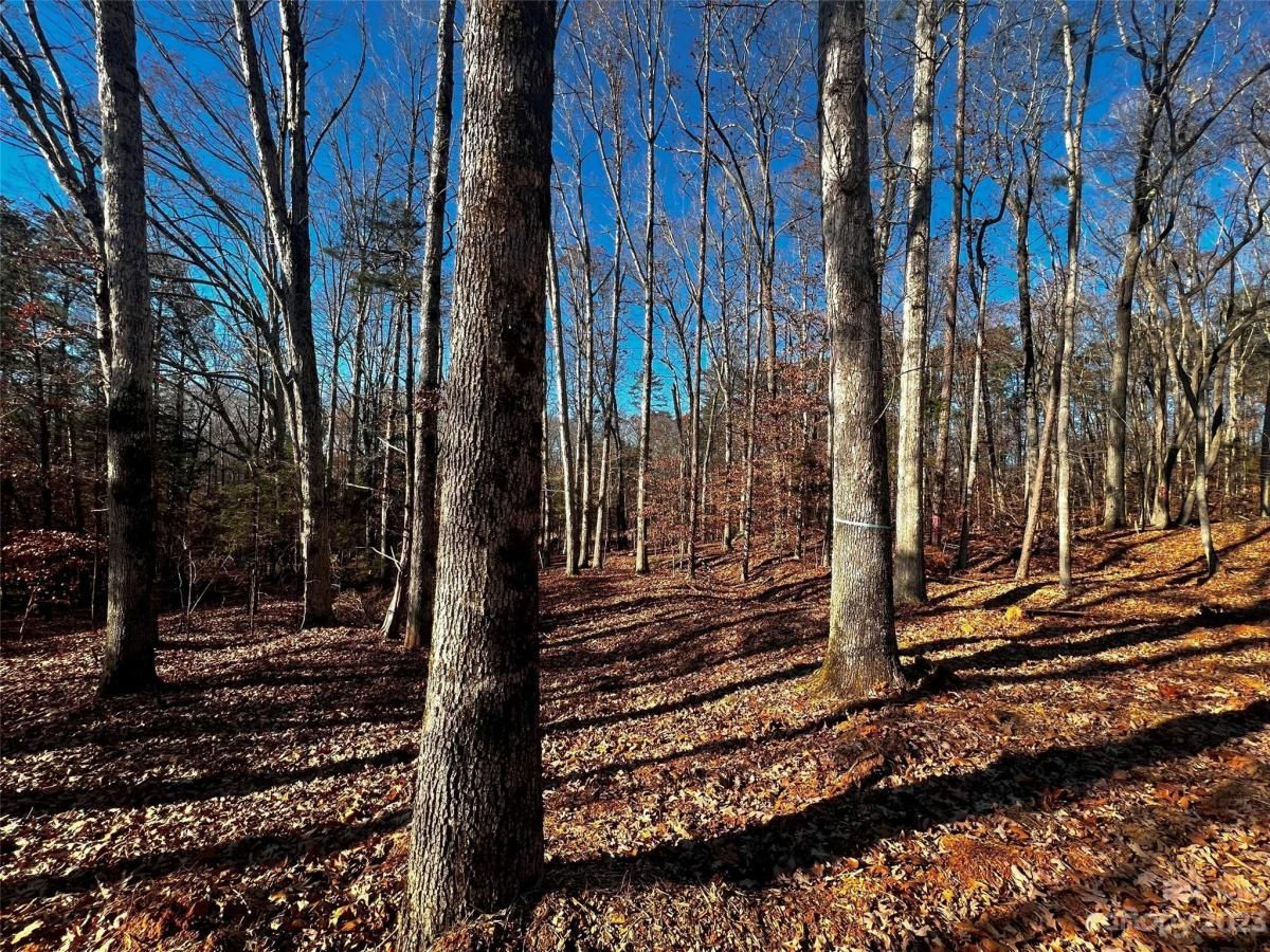 MLS #CAR4100811 image #3