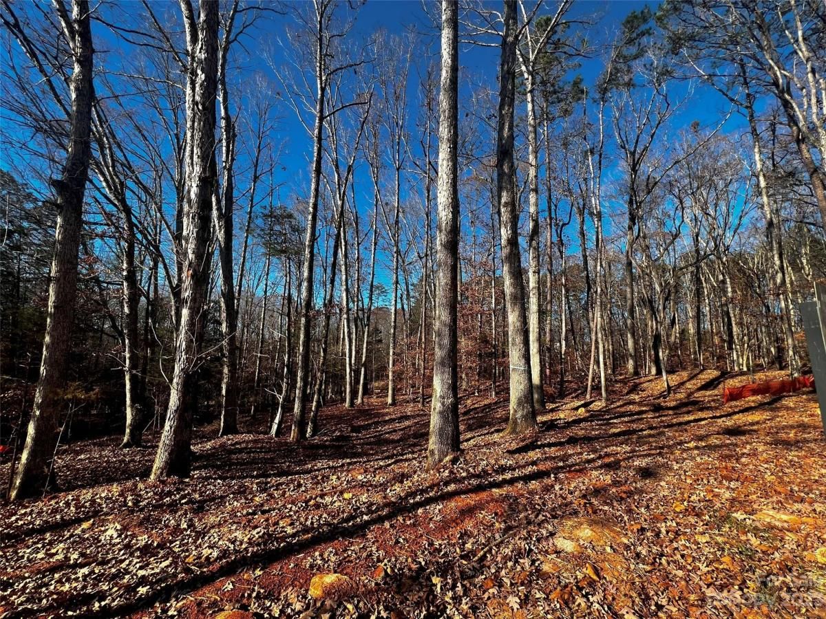 MLS #CAR4100811 image #4