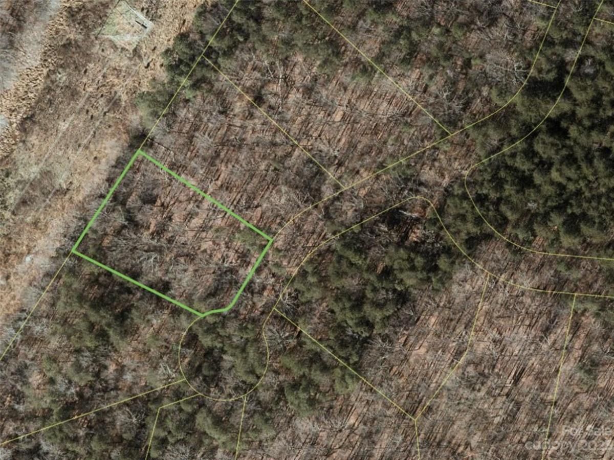 MLS #CAR4100811 image #5