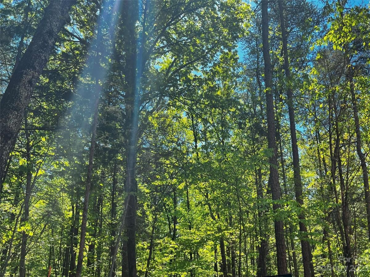 MLS #CAR4100819 image #11