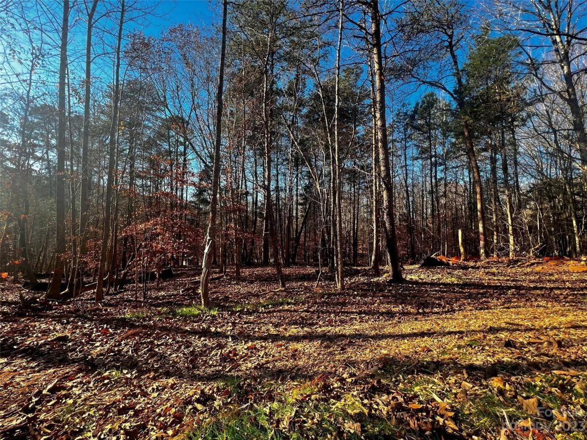 MLS #CAR4100819 image #3