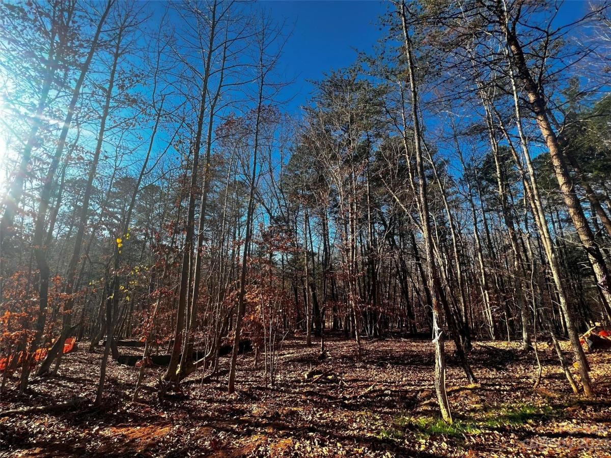 MLS #CAR4100819 image #4