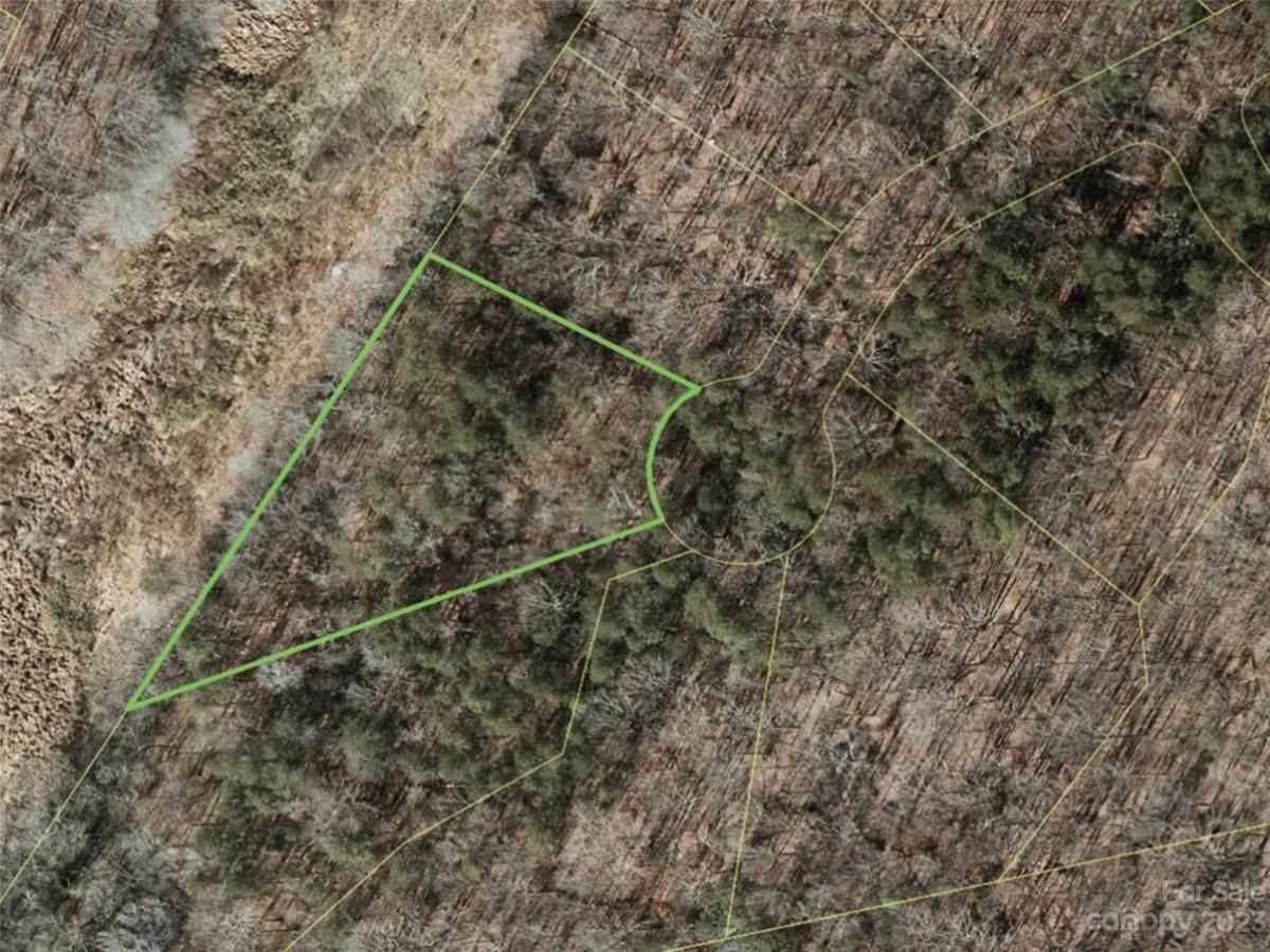 MLS #CAR4100819 image #5