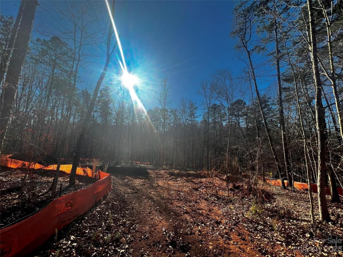 MLS #CAR4100824 image #2