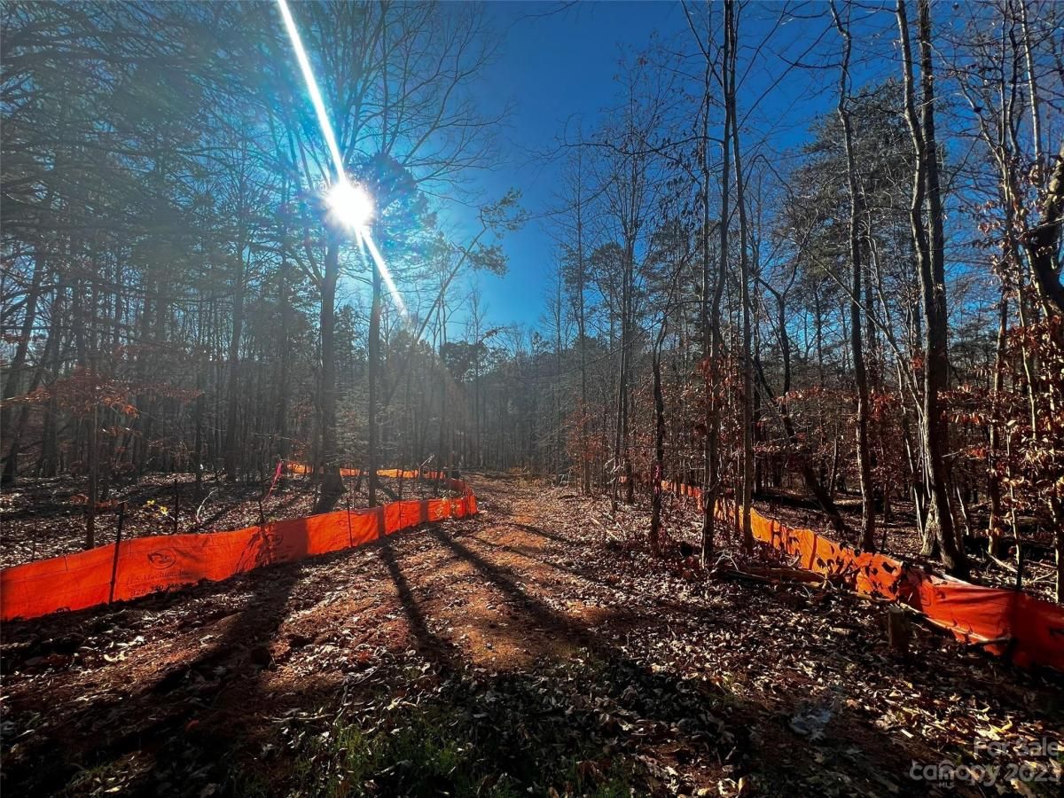 MLS #CAR4100824 image #3