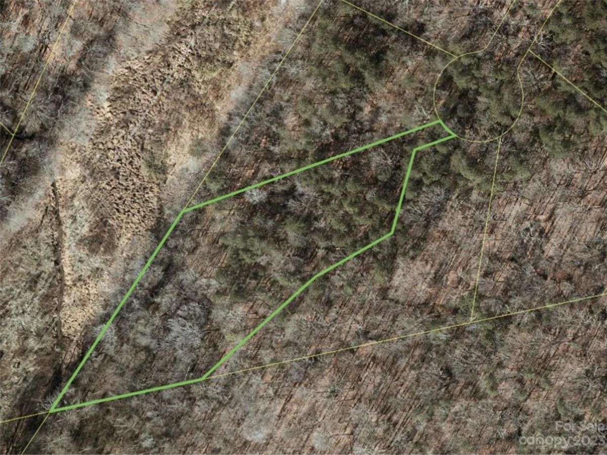 MLS #CAR4100824 image #4