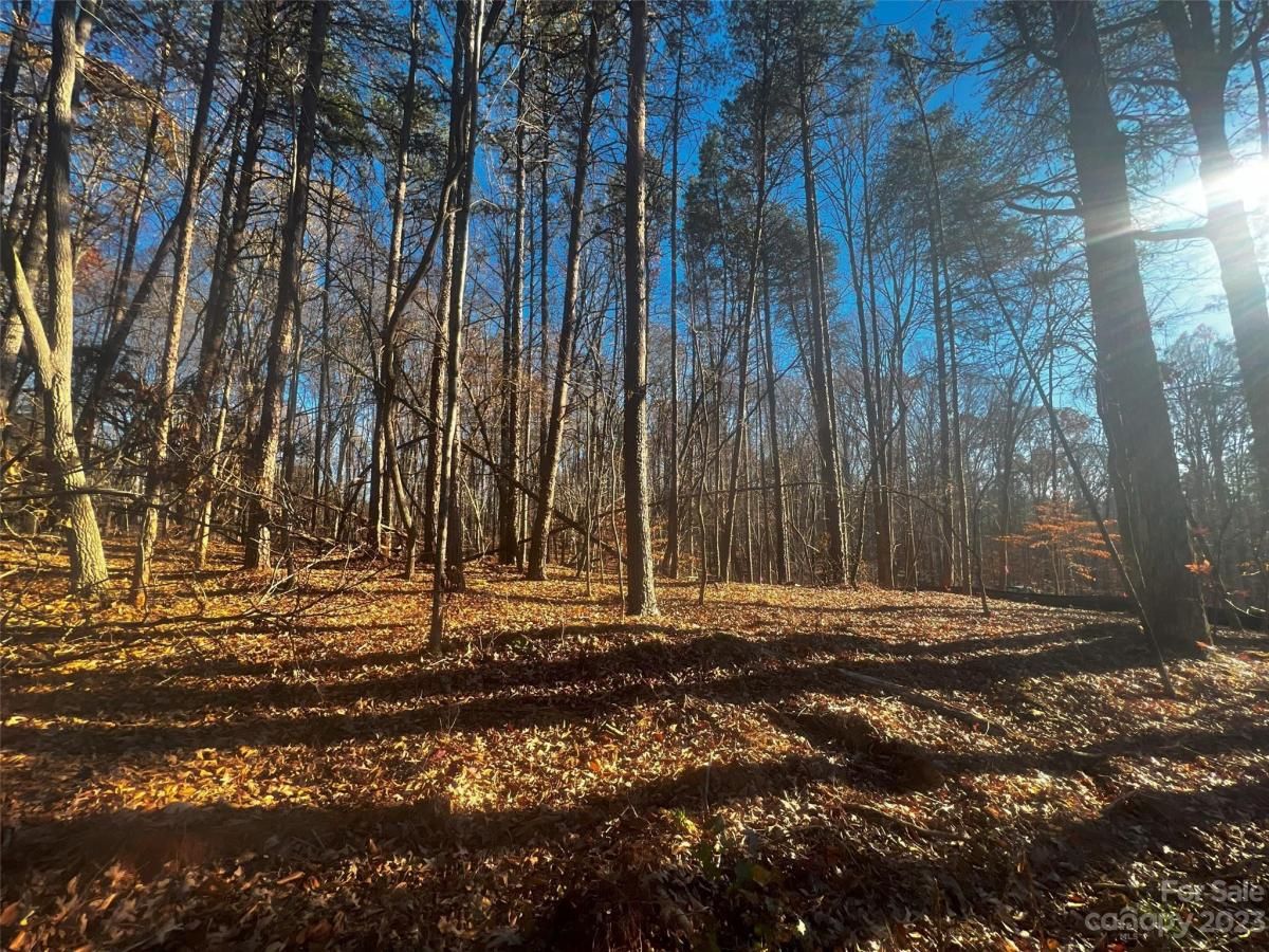 MLS #CAR4100833 image #1