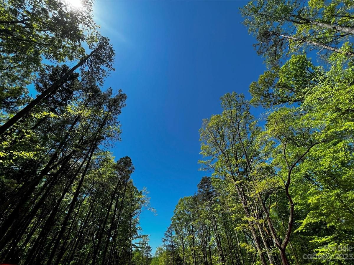 MLS #CAR4100833 image #11