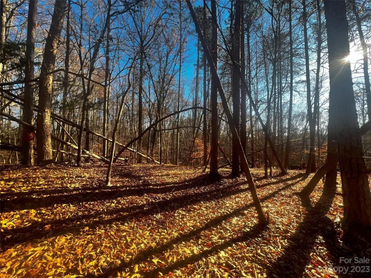 MLS #CAR4100833 image #2