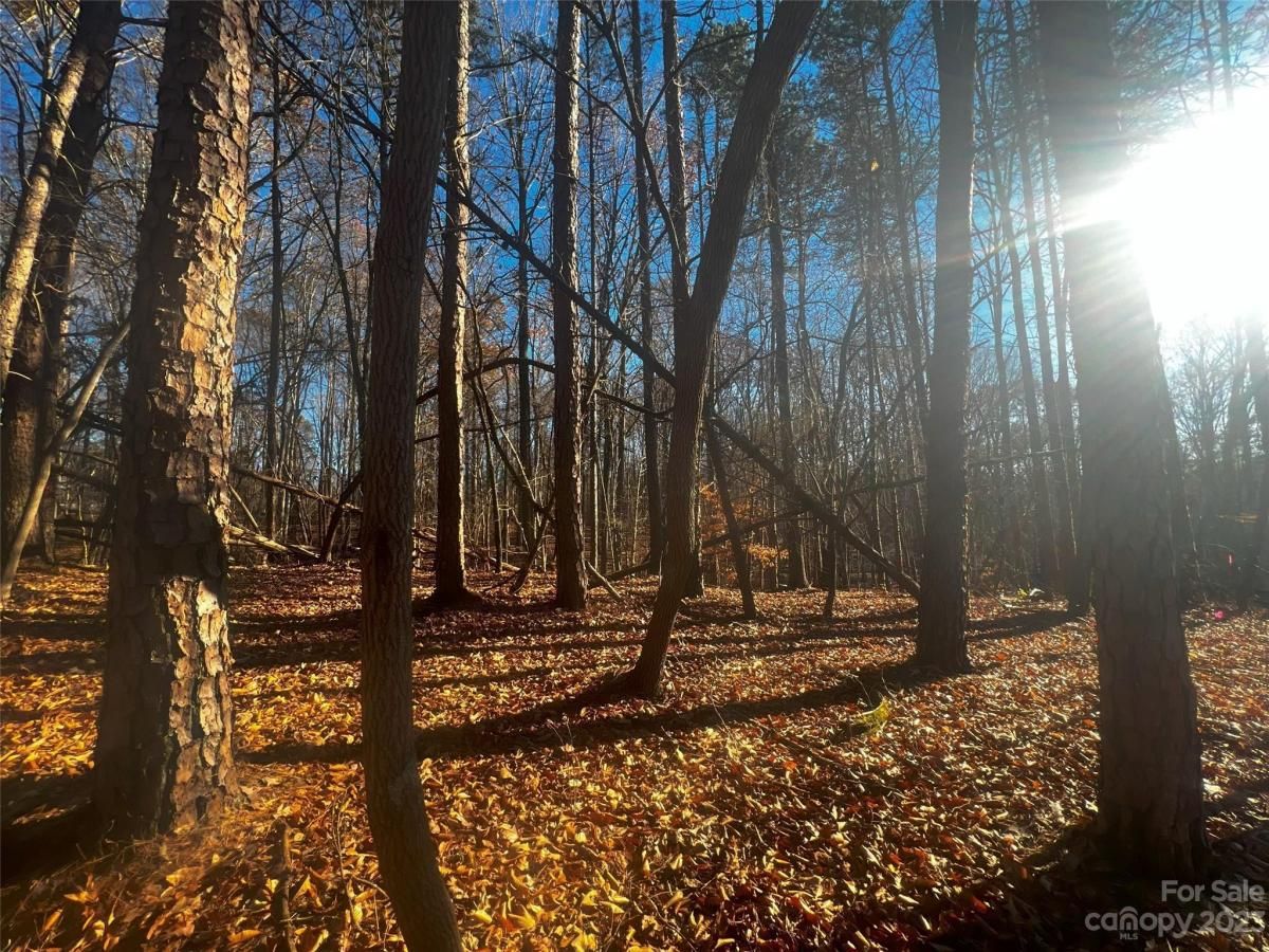 MLS #CAR4100833 image #4