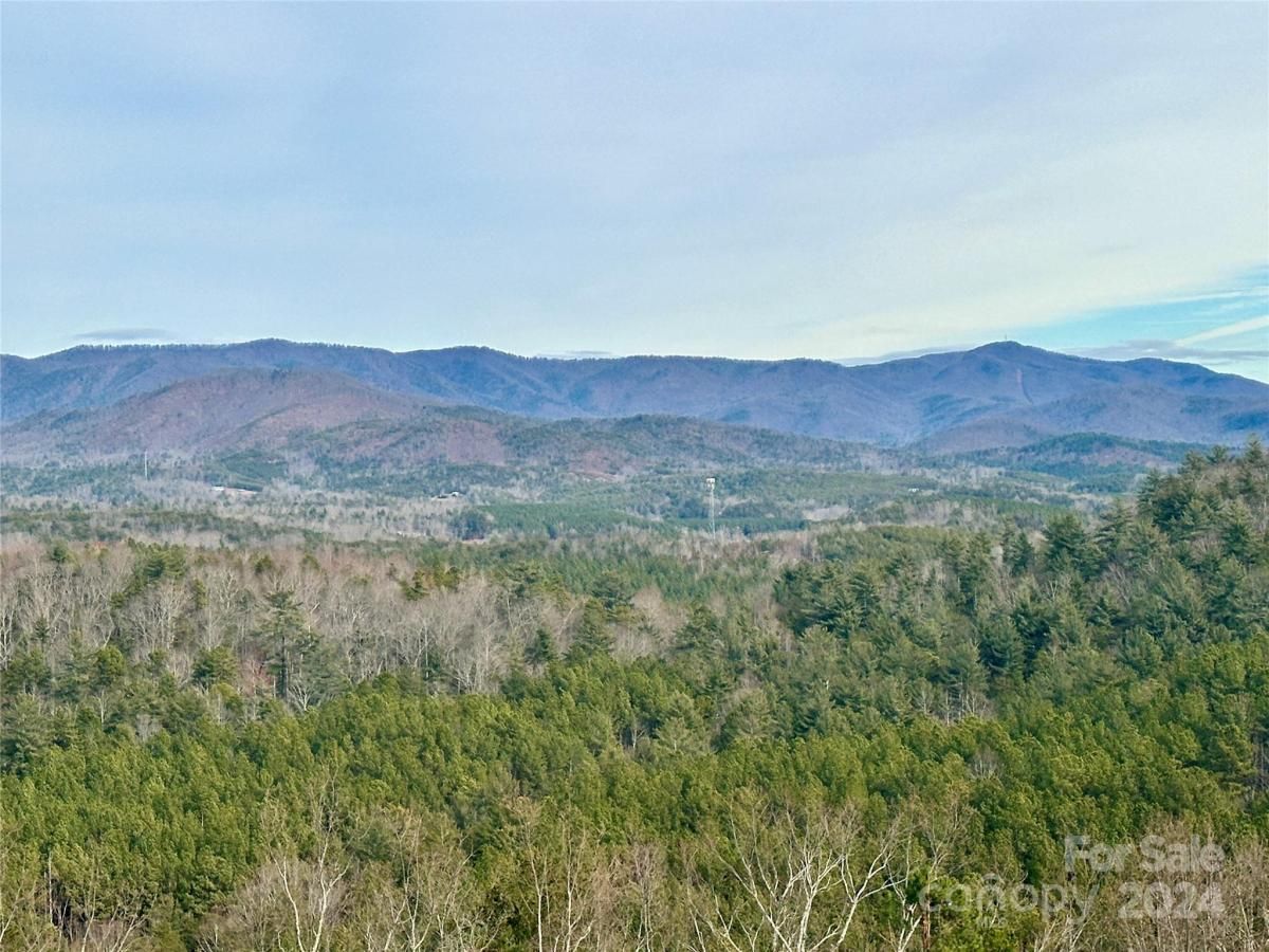 MLS #CAR4100908 image #0