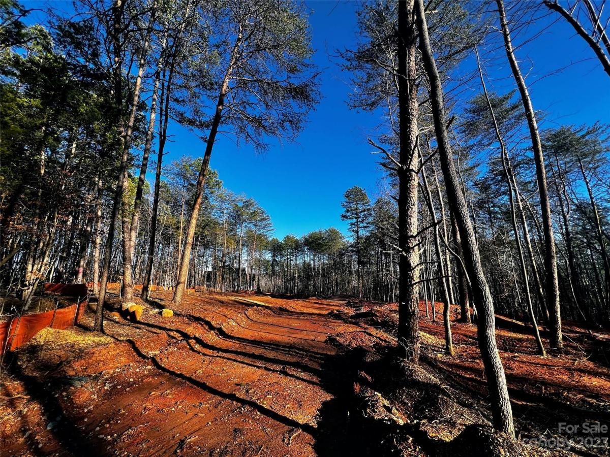 MLS #CAR4101845 image #1