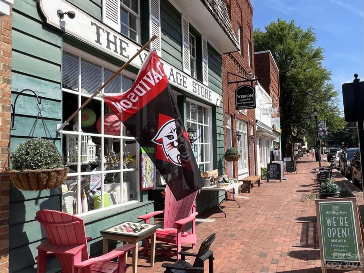 MLS #CAR4101845 image #20