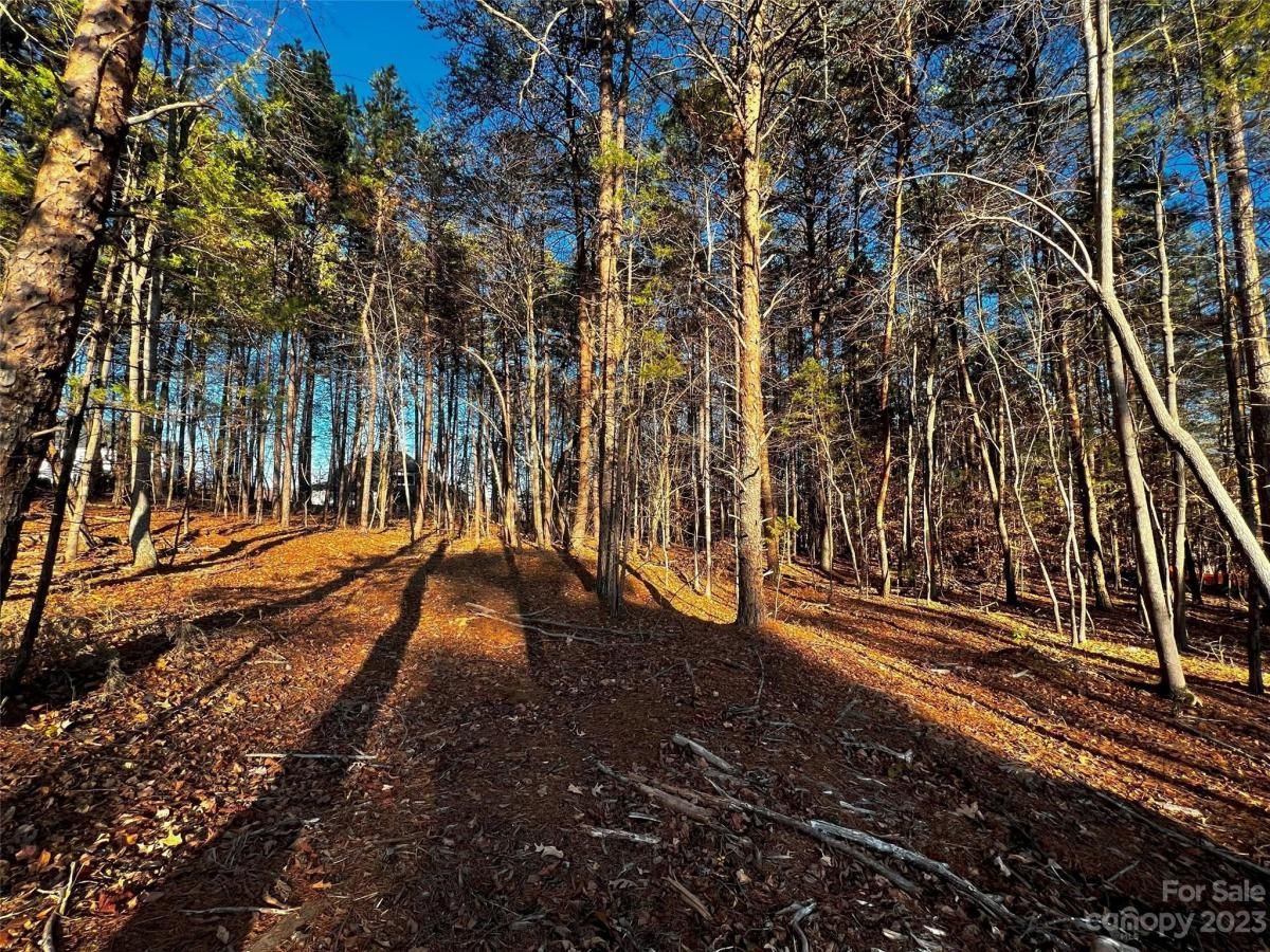 MLS #CAR4101848 image #1